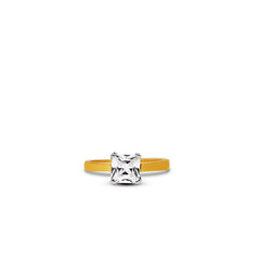 Ring - R113