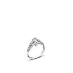 Ring - R120